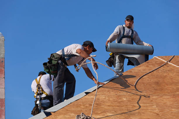 Best Flat Roof Repair Services  in Cassopolis, MI
